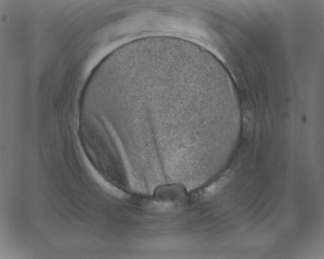 X0000067851523200604271632