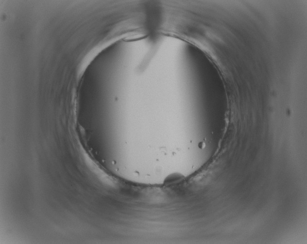 X0000067851524200604271632