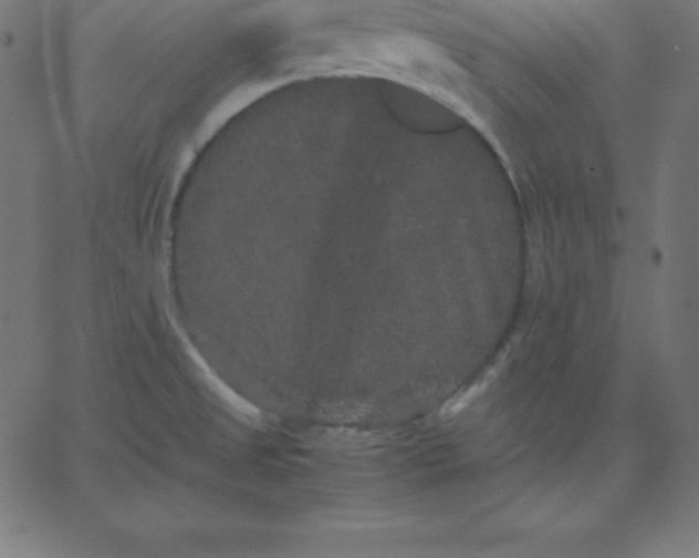 X0000067851525200604271632