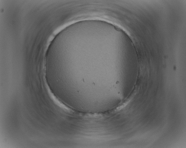 X0000067851526200604271632