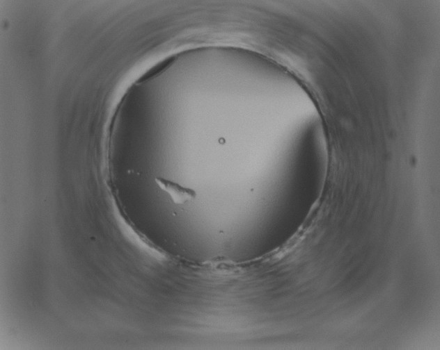 X0000067851528200604271632