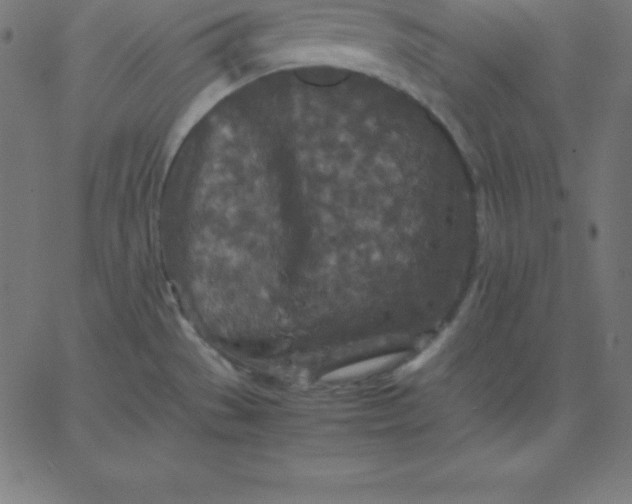 X0000067851529200604271632