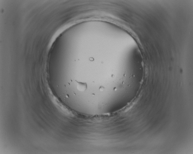 X0000067851530200604271632