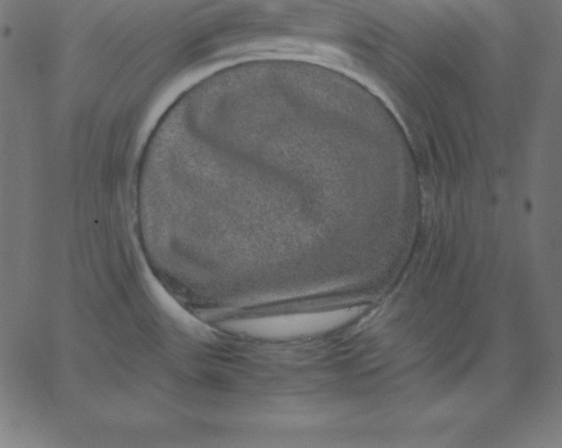 X0000067851531200604271632