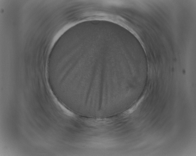 X0000067851533200604271632