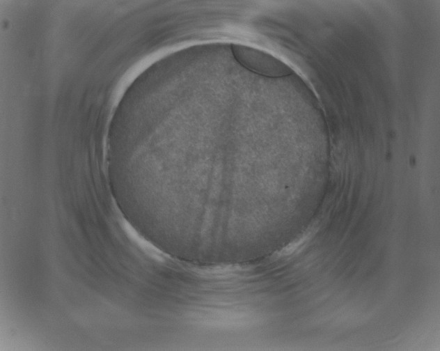 X0000067851535200604271632