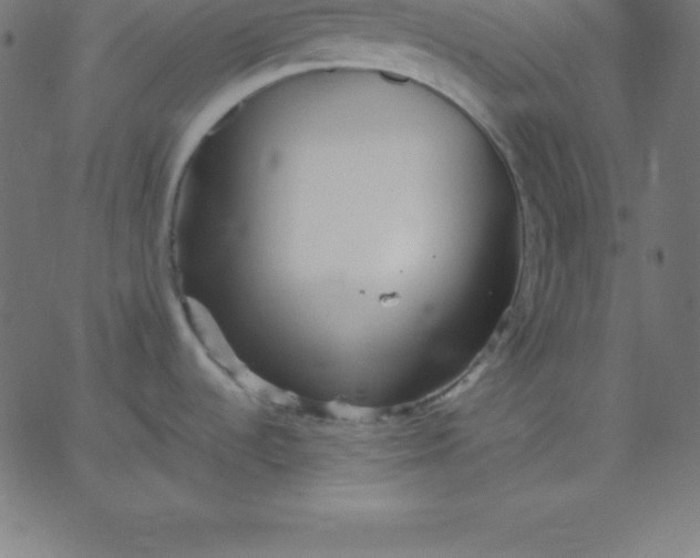 X0000067851536200604271632