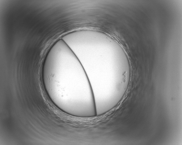 X0000067850001200605041727