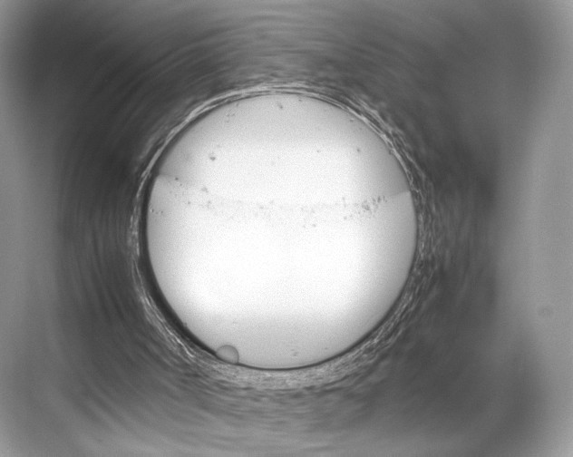 X0000067850002200605041727