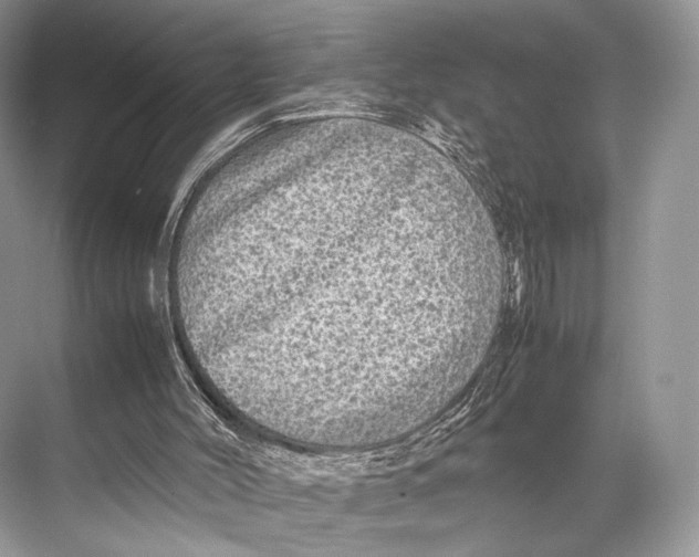 X0000067850004200605041727