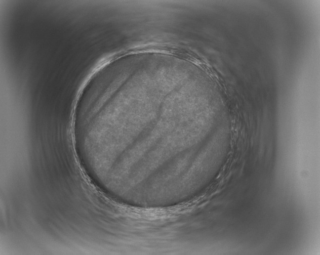 X0000067850006200605041727