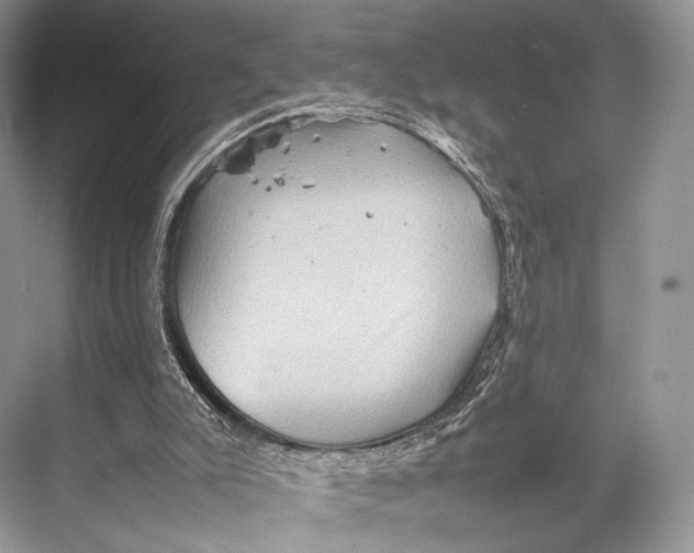 X0000067850007200605041727