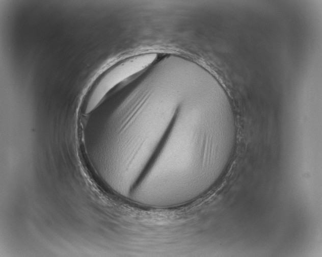 X0000067850008200605041727