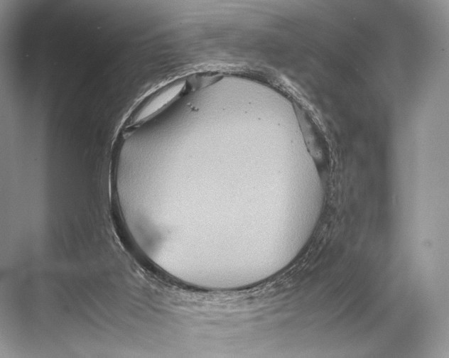 X0000067850011200605041727