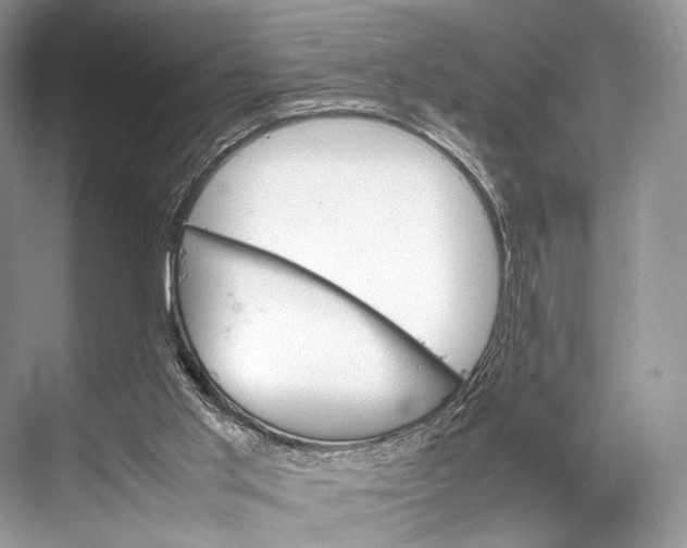 X0000067850013200605041727