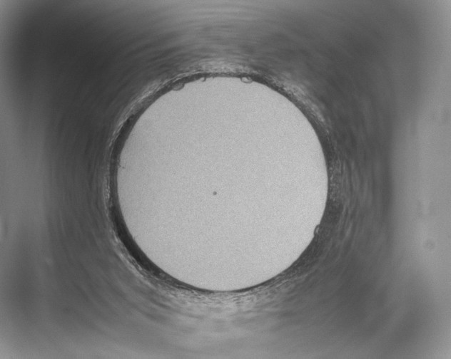 X0000067850015200605041727