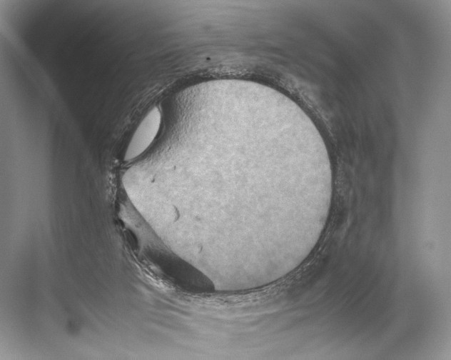 X0000067850017200605041727