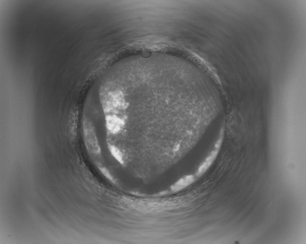 X0000067850018200605041727