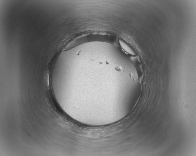 X0000067850021200605041727