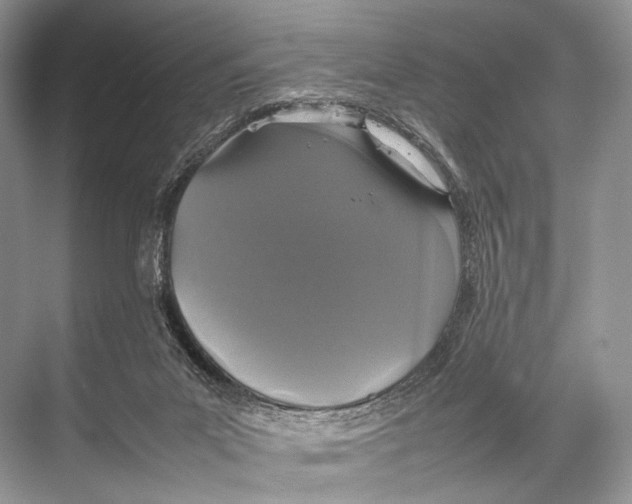 X0000067850023200605041727