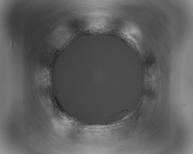 X0000067850025200605041727