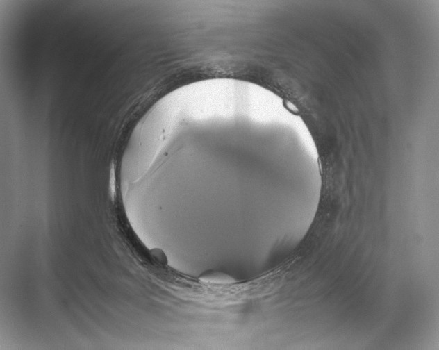 X0000067850027200605041727