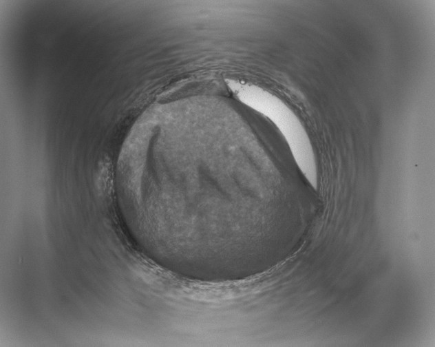 X0000067850029200605041727