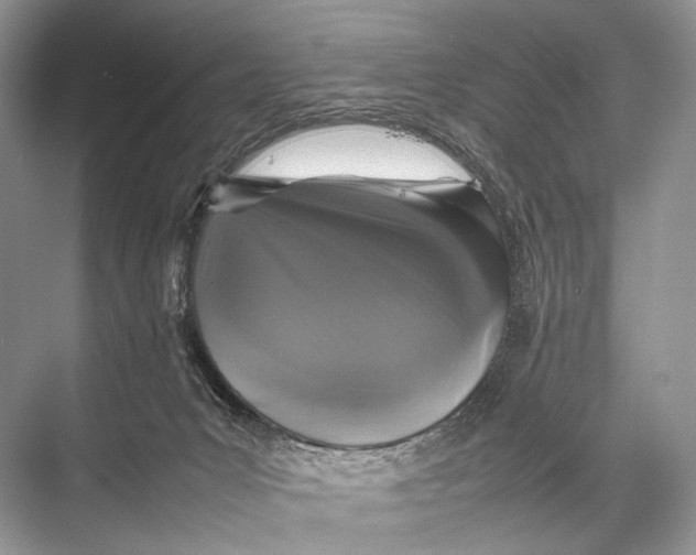 X0000067850031200605041727