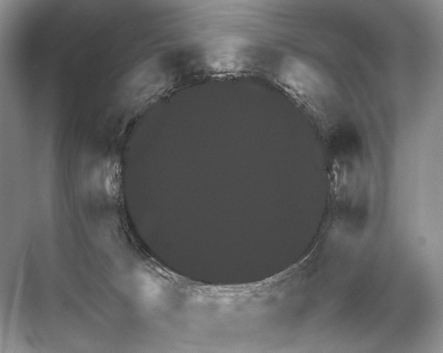 X0000067850033200605041727