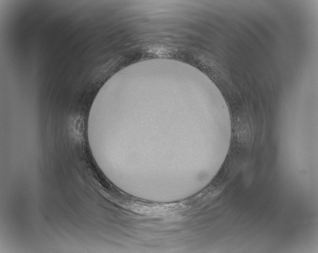 X0000067850036200605041727