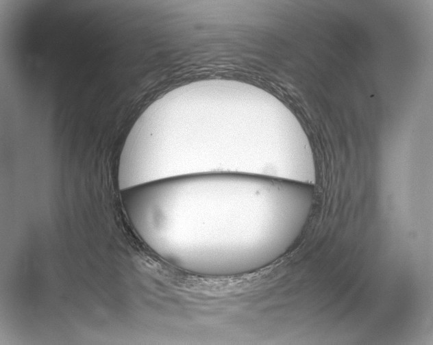 X0000067850037200605041727