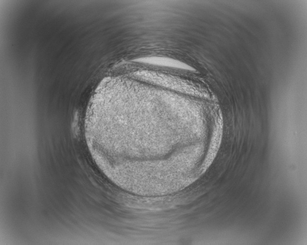 X0000067850038200605041727