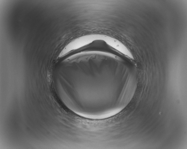 X0000067850039200605041727