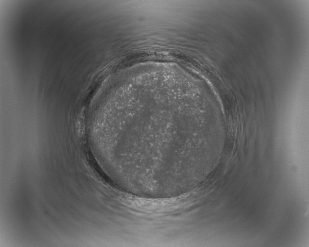 X0000067850043200605041727