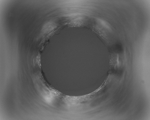 X0000067850045200605041727