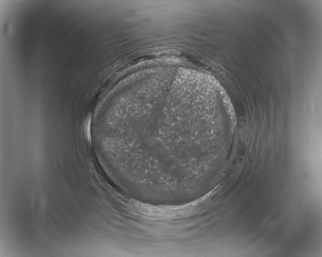 X0000067850047200605041727