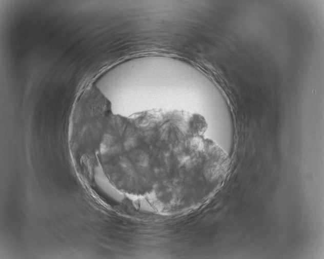 X0000067850049200605041726