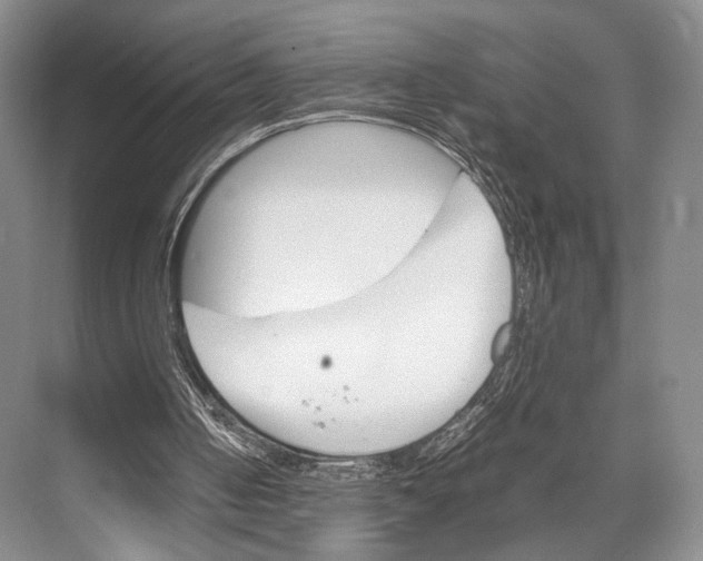 X0000067850050200605041726