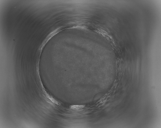 X0000067850051200605041726