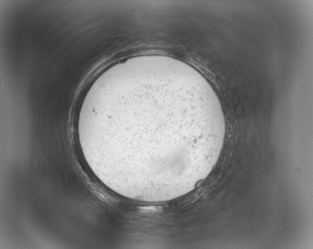 X0000067850053200605041726