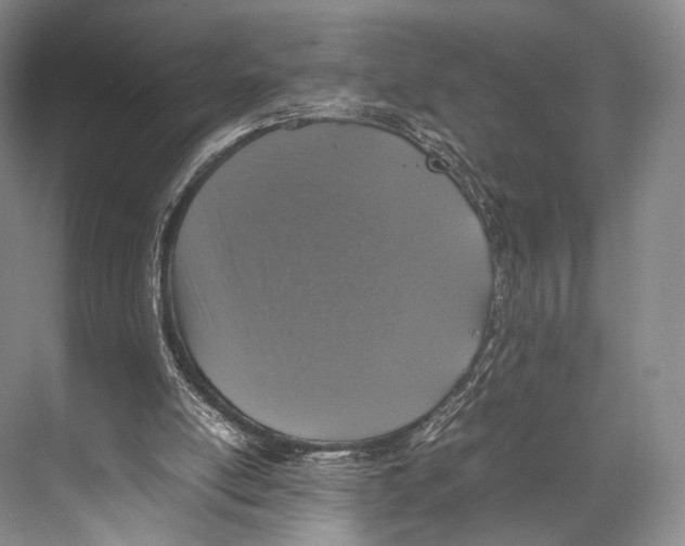 X0000067850054200605041726