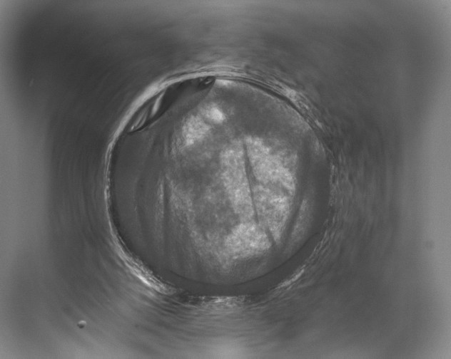 X0000067850056200605041726