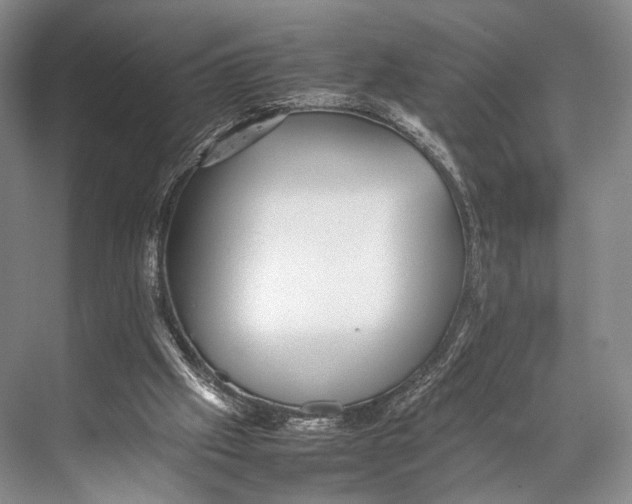 X0000067850057200605041726