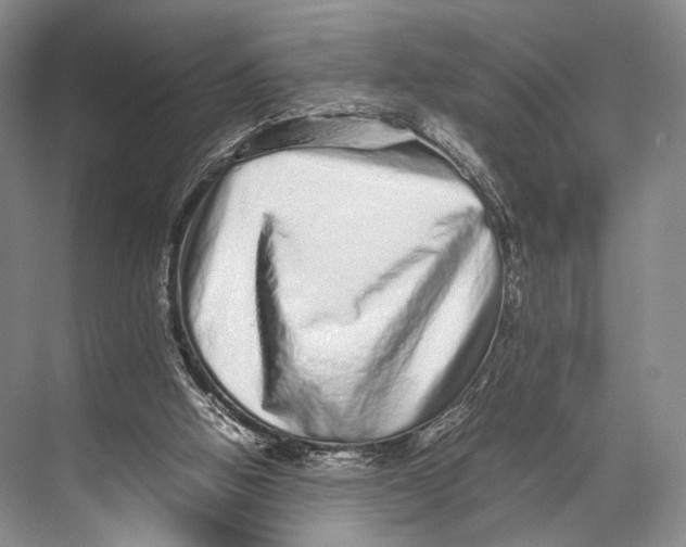 X0000067850058200605041726