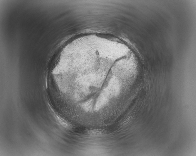 X0000067850062200605041726