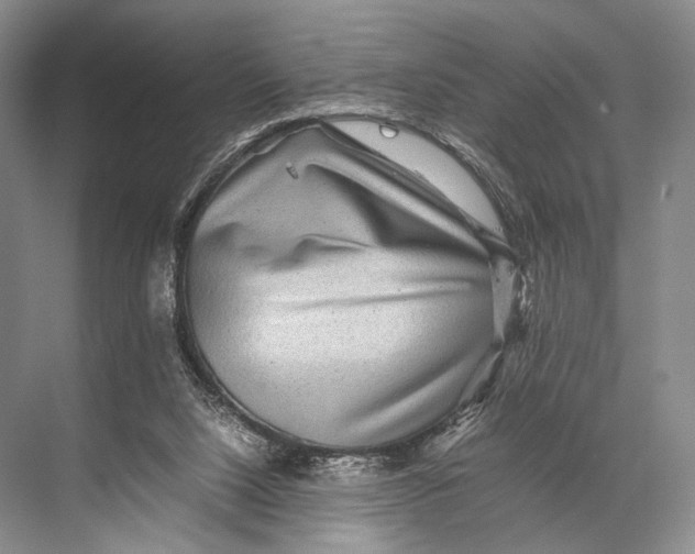 X0000067850064200605041726