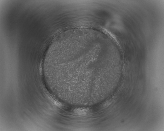 X0000067850065200605041726