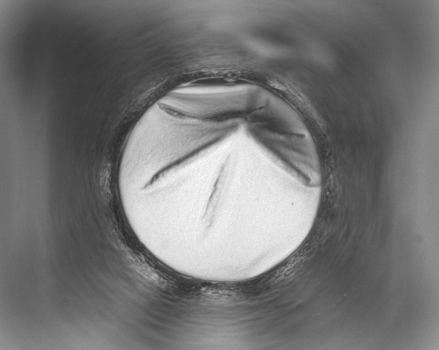 X0000067850066200605041726