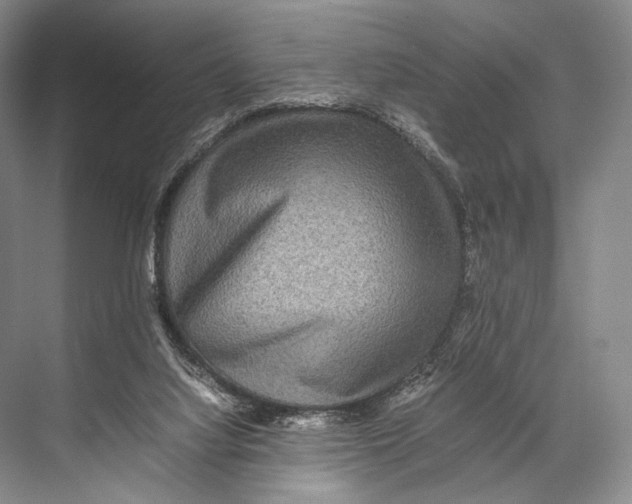 X0000067850068200605041726