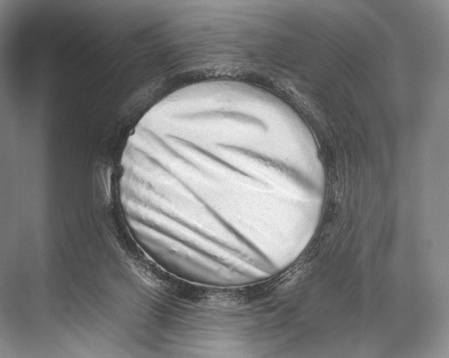 X0000067850070200605041726